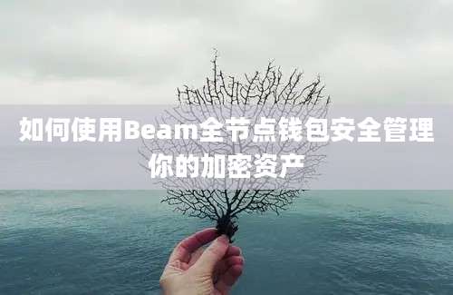 如何使用Beam全节点钱包安全管理你的加密资产