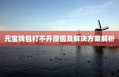 元宝钱包打不开原因及解决方案解析