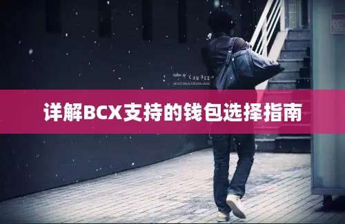 详解BCX支持的钱包选择指南