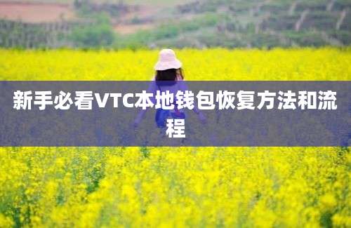 新手必看VTC本地钱包恢复方法和流程