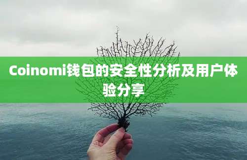 Coinomi钱包的安全性分析及用户体验分享