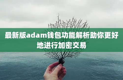 最新版adam钱包功能解析助你更好地进行加密交易