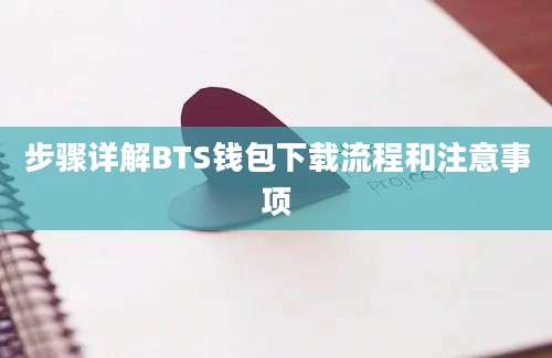 步骤详解BTS钱包下载流程和注意事项