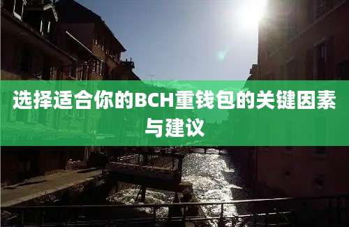 选择适合你的BCH重钱包的关键因素与建议