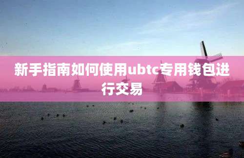 新手指南如何使用ubtc专用钱包进行交易