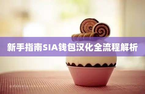 新手指南SIA钱包汉化全流程解析