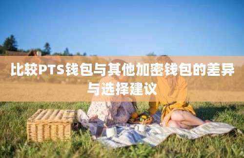 比较PTS钱包与其他加密钱包的差异与选择建议