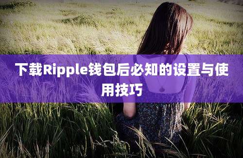 下载Ripple钱包后必知的设置与使用技巧