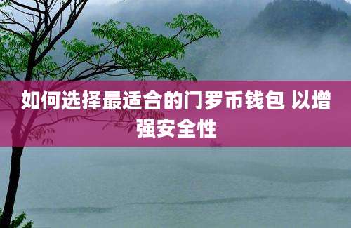 如何选择最适合的门罗币钱包 以增强安全性