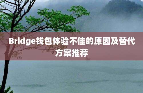 Bridge钱包体验不佳的原因及替代方案推荐