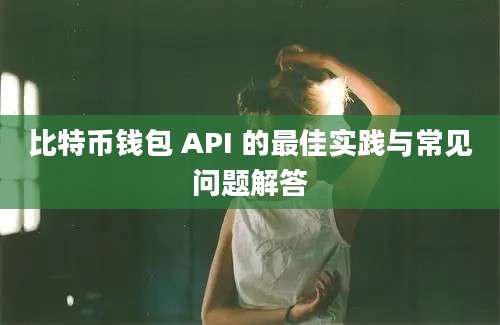 比特币钱包 API 的最佳实践与常见问题解答