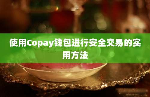 使用Copay钱包进行安全交易的实用方法