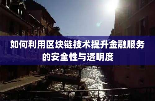 如何利用区块链技术提升金融服务的安全性与透明度