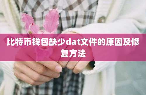 比特币钱包缺少dat文件的原因及修复方法