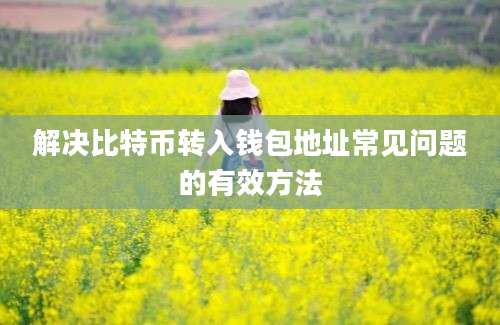 解决比特币转入钱包地址常见问题的有效方法