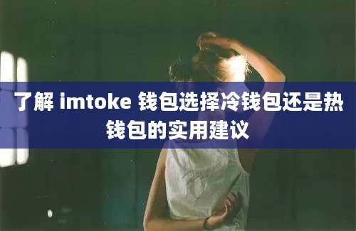 了解 imtoke 钱包选择冷钱包还是热钱包的实用建议