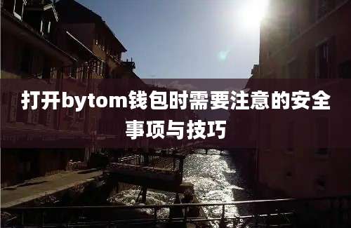 打开bytom钱包时需要注意的安全事项与技巧