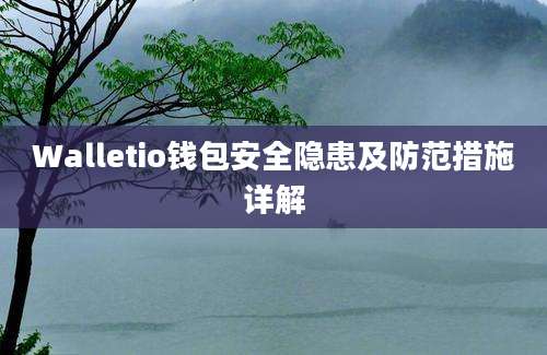 Walletio钱包安全隐患及防范措施详解