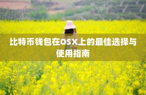 比特币钱包在OSX上的最佳选择与使用指南