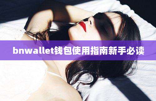 bnwallet钱包使用指南新手必读