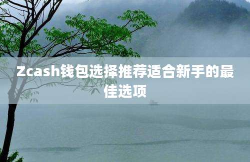 Zcash钱包选择推荐适合新手的最佳选项