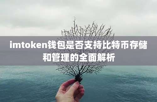 imtoken钱包是否支持比特币存储和管理的全面解析