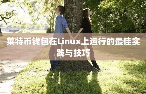 莱特币钱包在Linux上运行的最佳实践与技巧