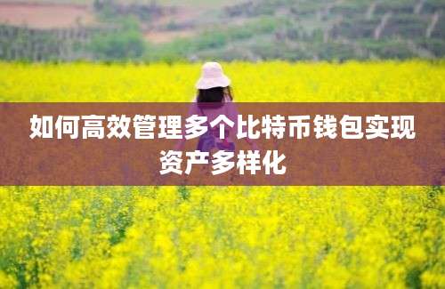 如何高效管理多个比特币钱包实现资产多样化