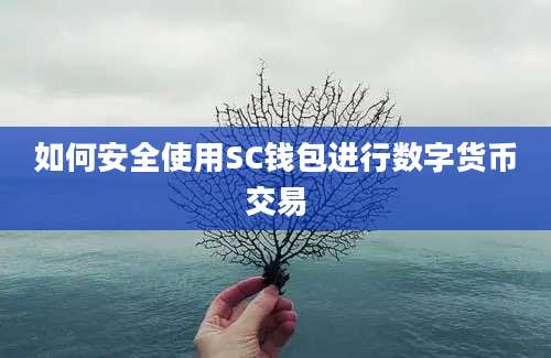 如何安全使用SC钱包进行数字货币交易