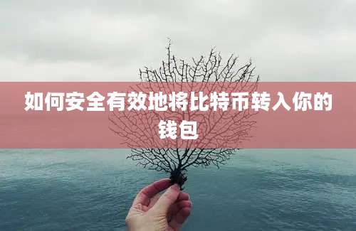 如何安全有效地将比特币转入你的钱包