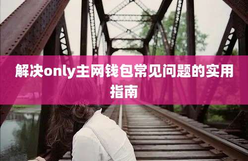 解决only主网钱包常见问题的实用指南