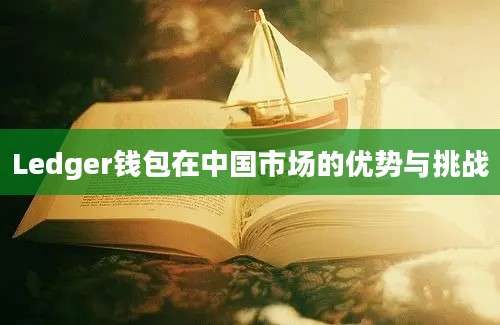 Ledger钱包在中国市场的优势与挑战