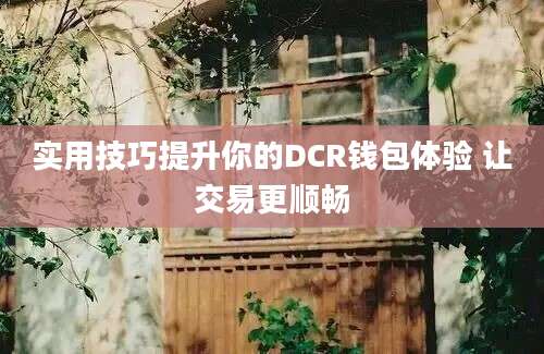 实用技巧提升你的DCR钱包体验 让交易更顺畅