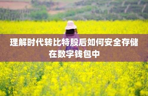 理解时代转比特股后如何安全存储在数字钱包中