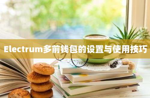 Electrum多前钱包的设置与使用技巧