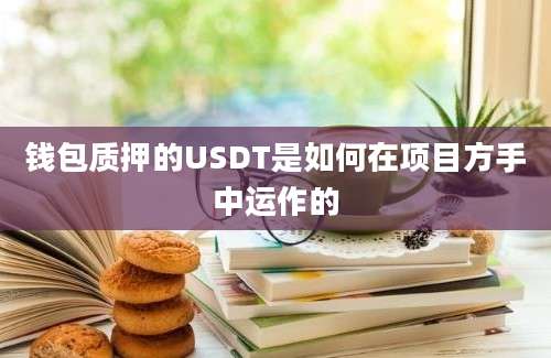 钱包质押的USDT是如何在项目方手中运作的