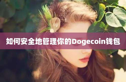 如何安全地管理你的Dogecoin钱包