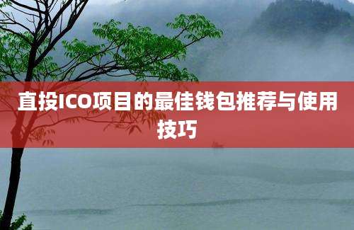 直投ICO项目的最佳钱包推荐与使用技巧