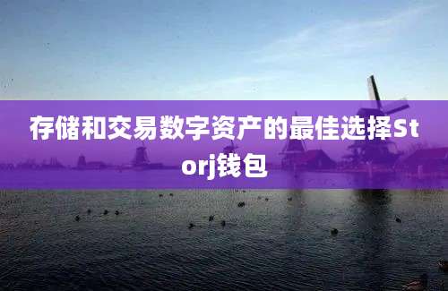 存储和交易数字资产的最佳选择Storj钱包