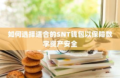 如何选择适合的SNT钱包以保障数字资产安全